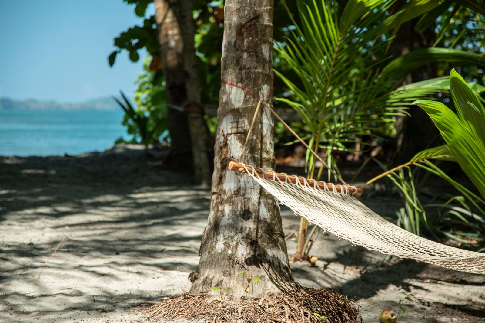 Oceanview bungalow hammock at Isla Palenque in the Chiriqui region of Panama