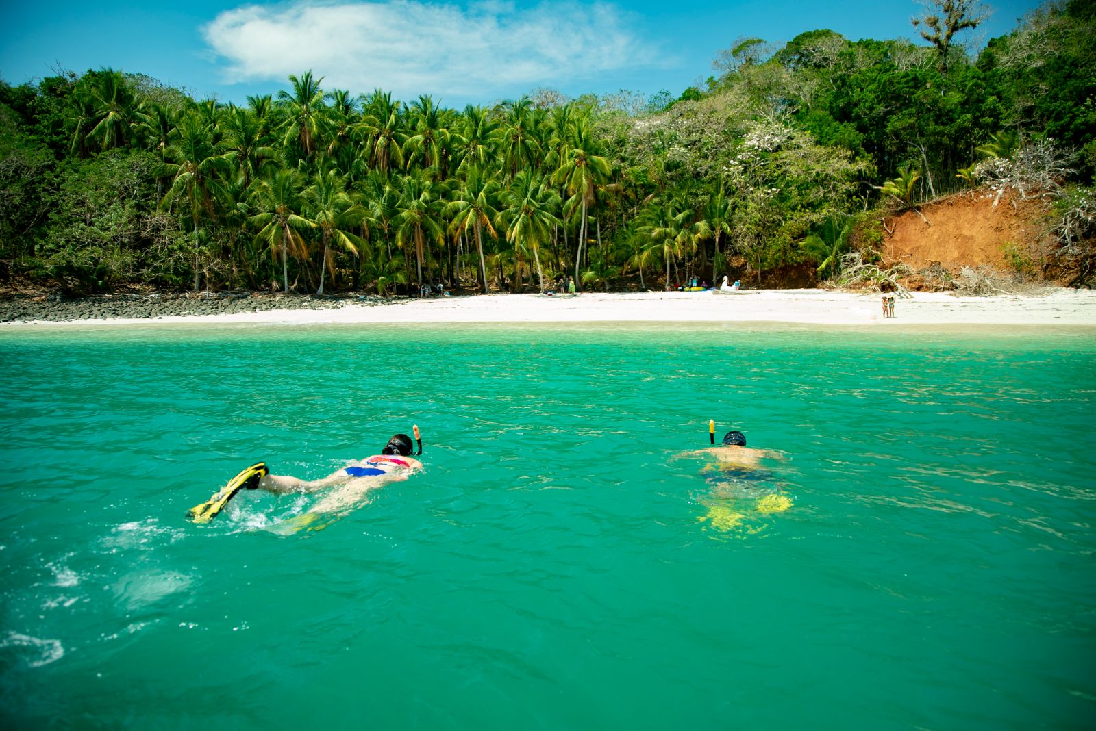 Snorkelling on the grounds of Isla Palenque in the Chiriqui region of Panama