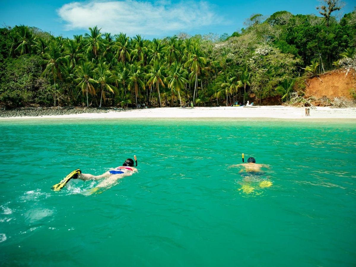 Snorkelling on the grounds of Isla Palenque in the Chiriqui region of Panama