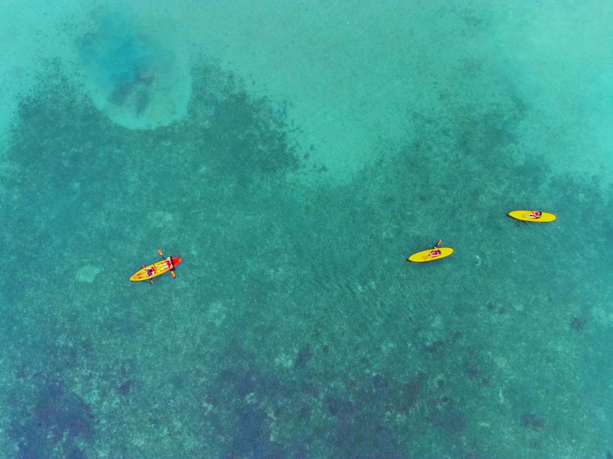 Aerial view of kayaking on the grounds of Islas Secas resort in Panama
