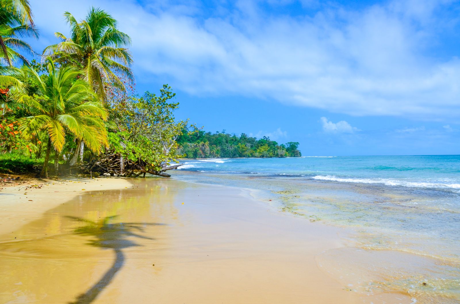 Bocas Beach in Panama