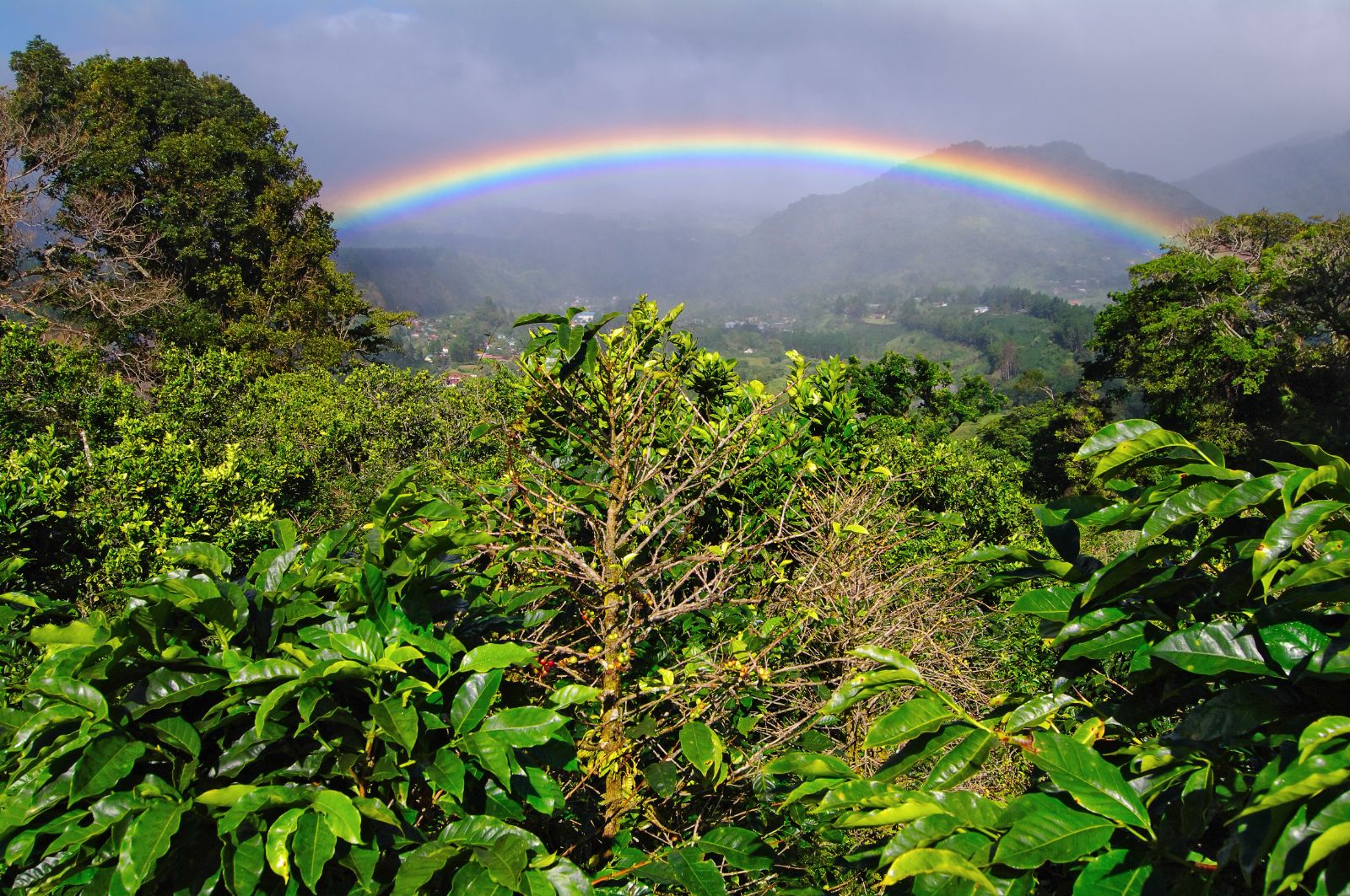 A rainbow over the Boquete region of Panama