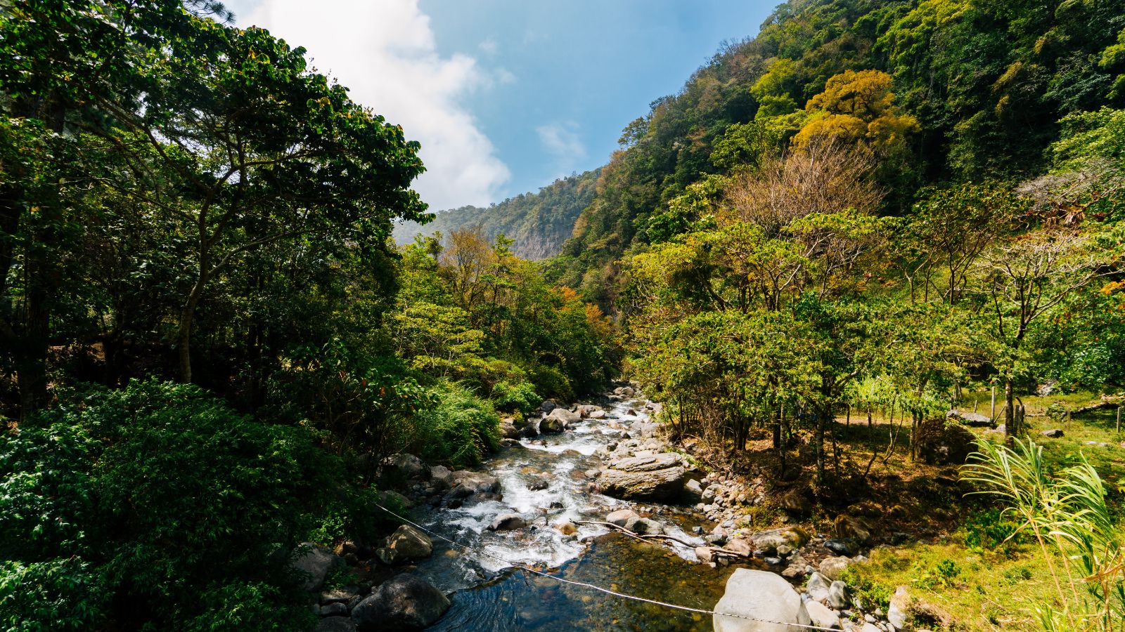 A  stream in Panama