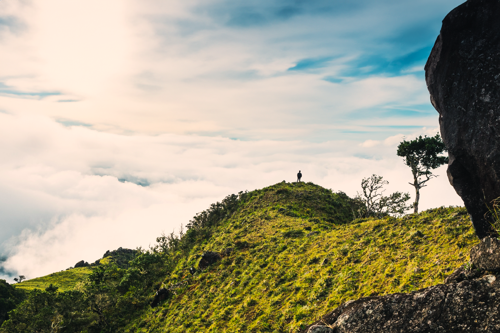 A man stood looking over the Boteque Highlands in Panama