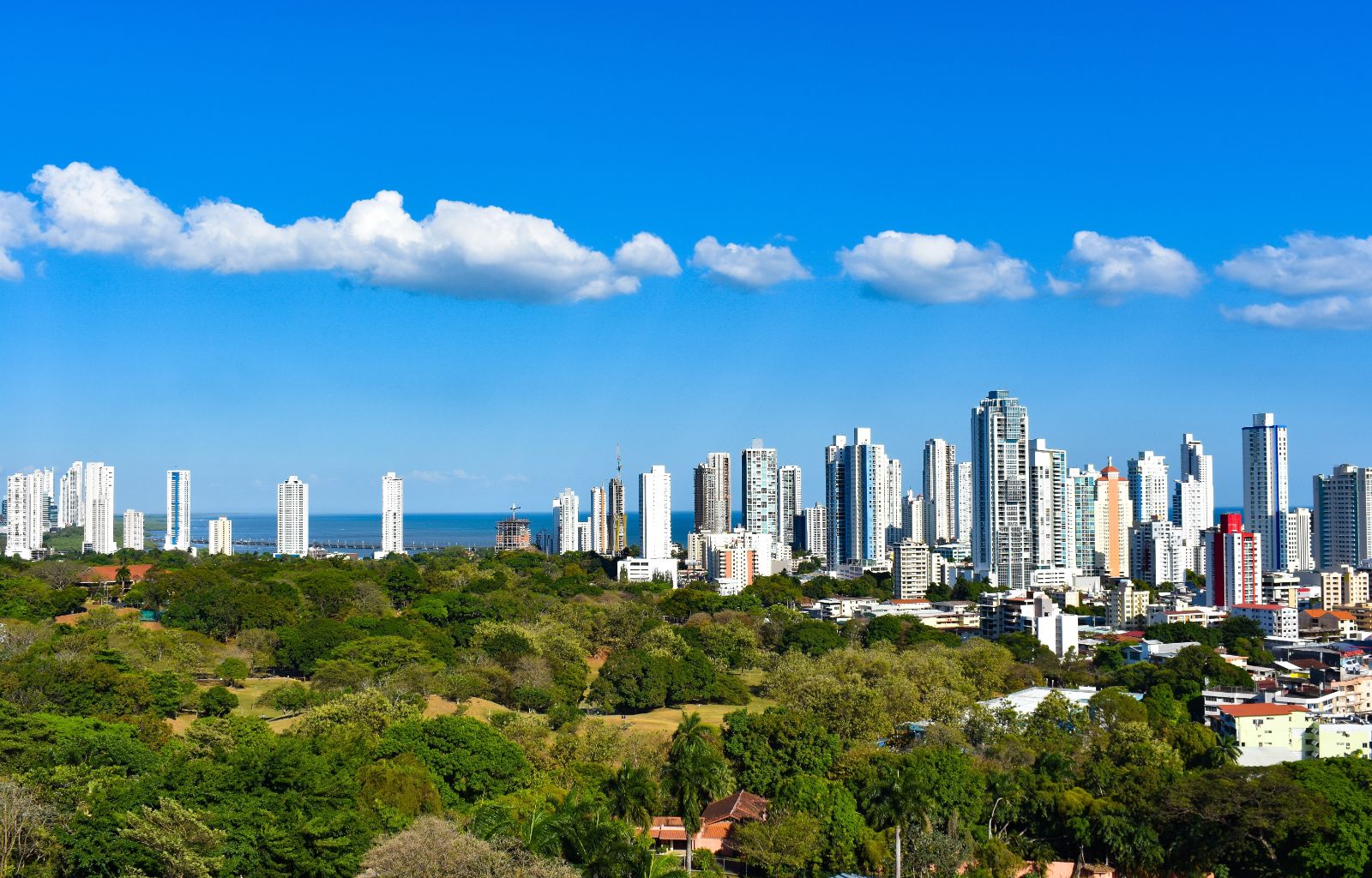 View of trees and distant skyscrapers in Panama City