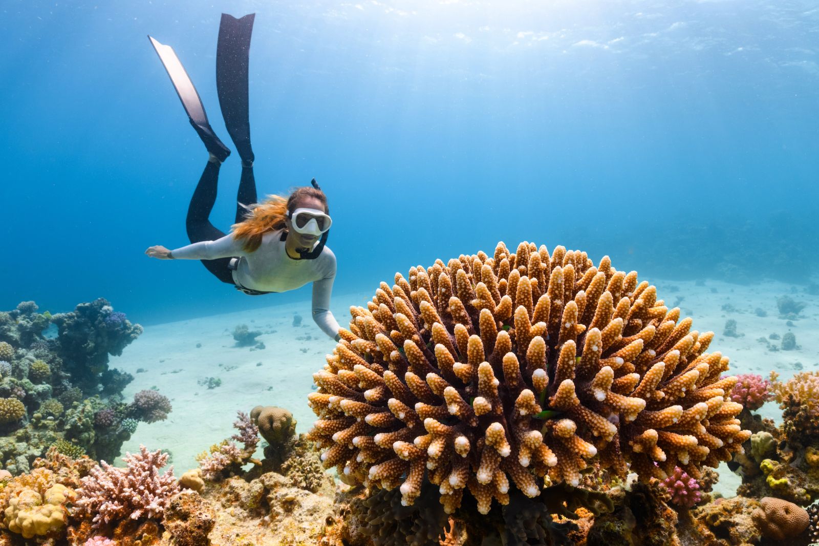 A woman snorkelling on a reef