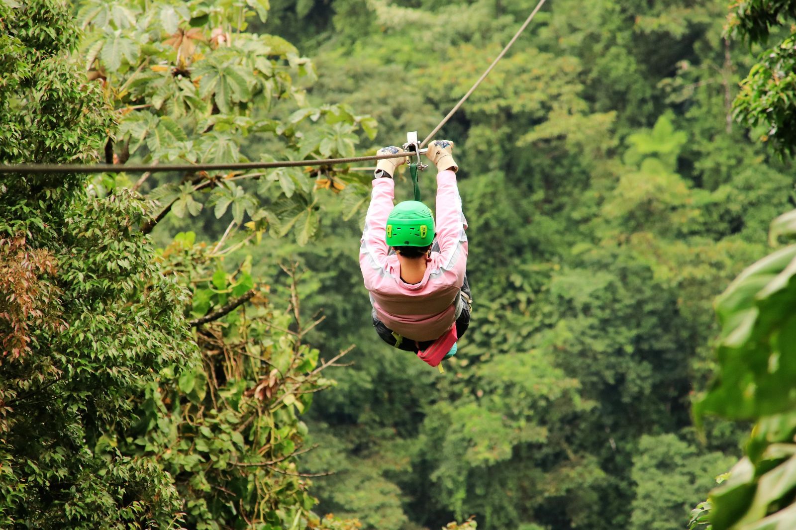 Ziplining through the canopies