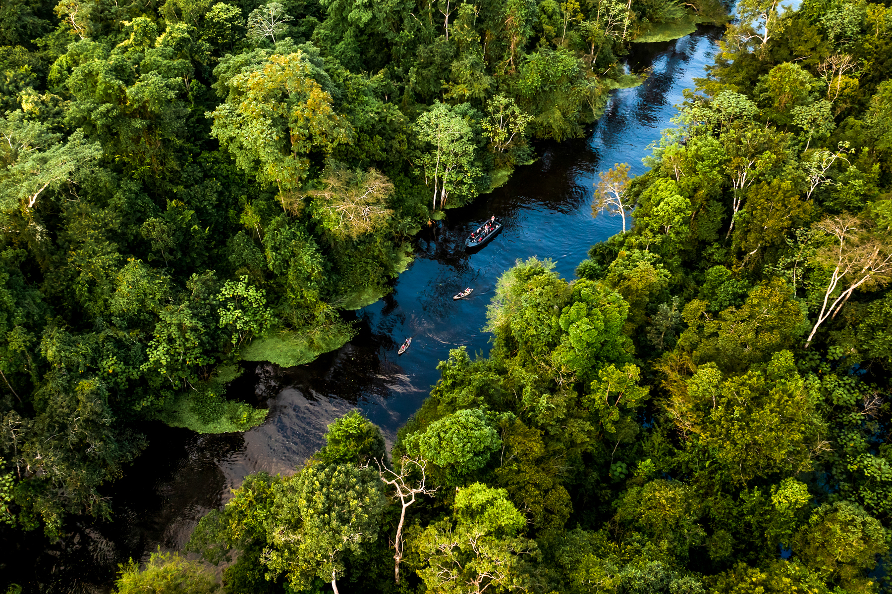 Aerial view of a skiff tour from the Aria Amazon luxury river cruiser in Peru