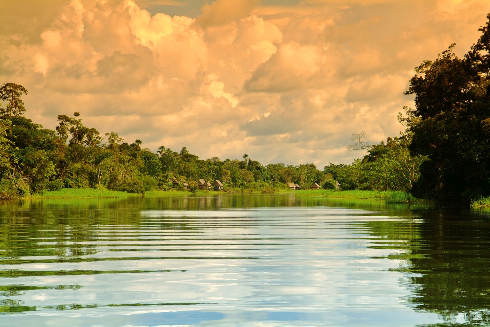 Dawn in the Amazon viewed onboard Delfin 1 in Peru