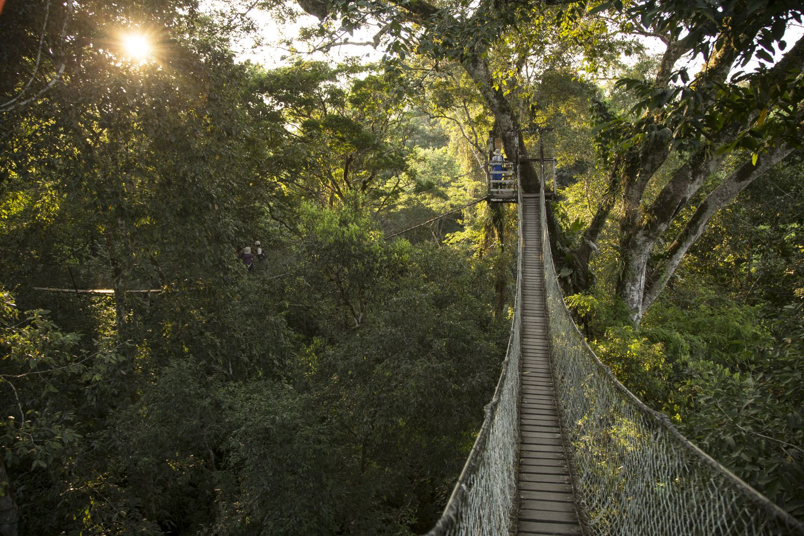 Rainforest canopy walkway at Inkaterra Reserva Amazonica in Peru