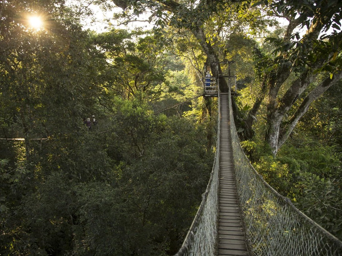 Rainforest canopy walkway at Inkaterra Reserva Amazonica in Peru