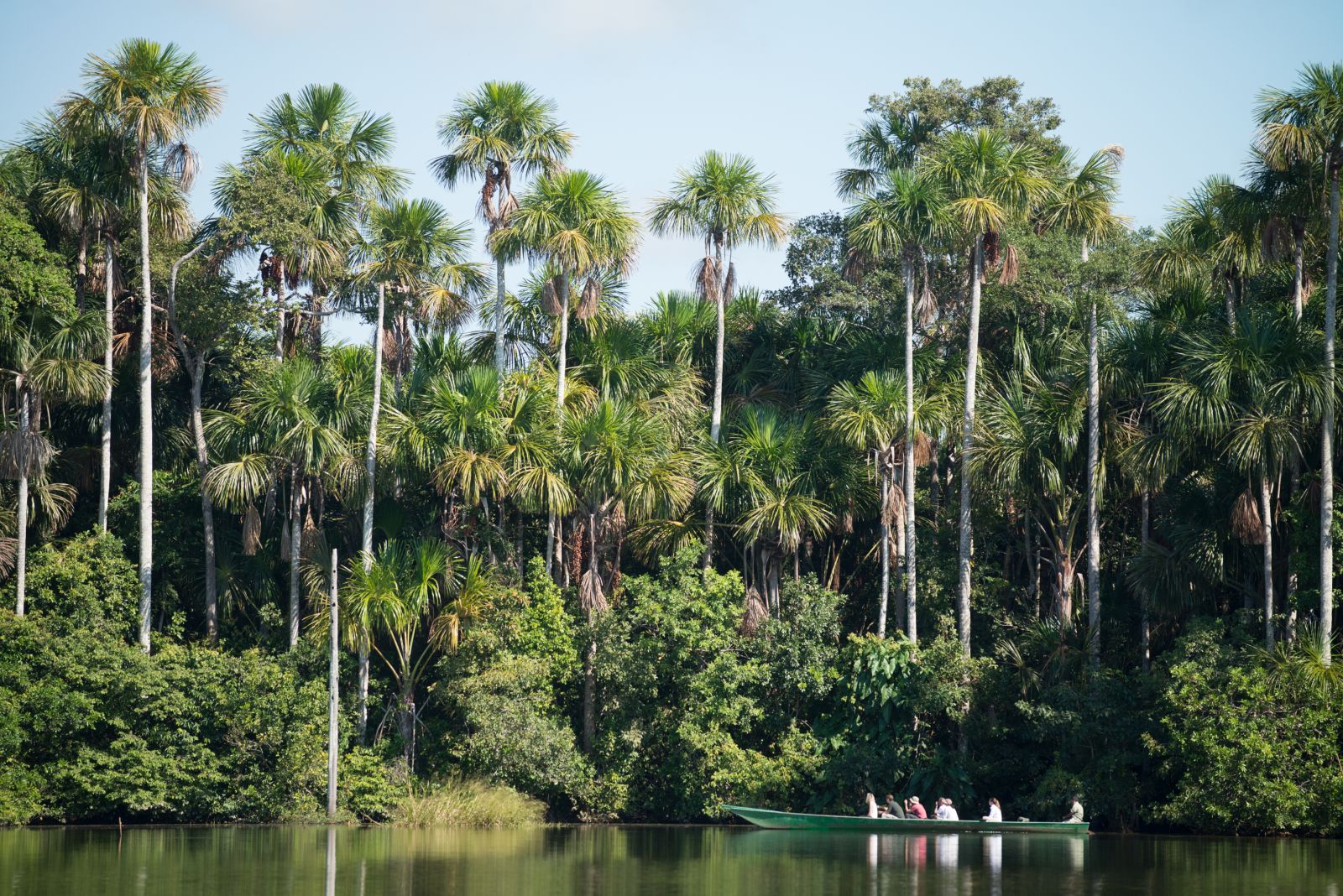 Guided canoe excursion in the Tambopata Reserve from Inkaterra Reserva Amazonica in Peru