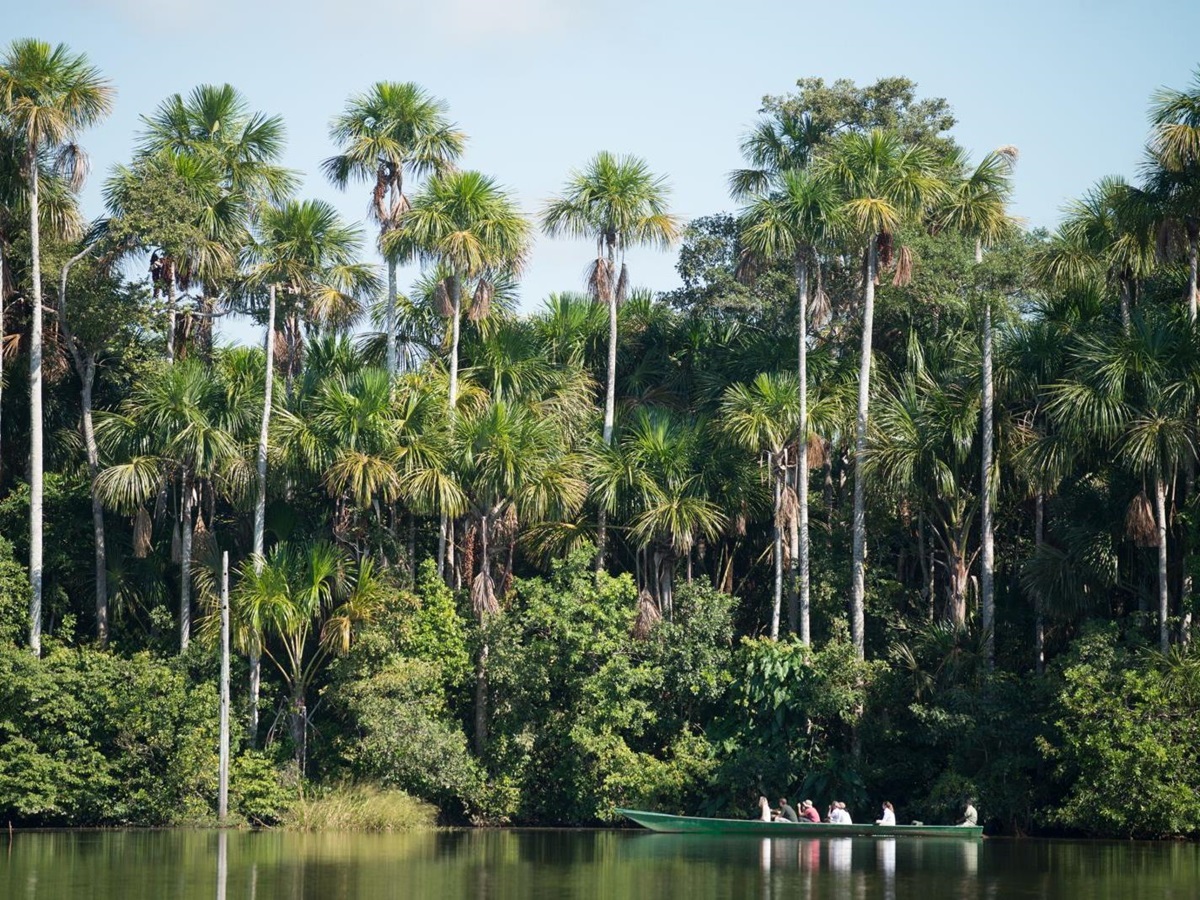 Guided canoe excursion in the Tambopata Reserve from Inkaterra Reserva Amazonica in Peru