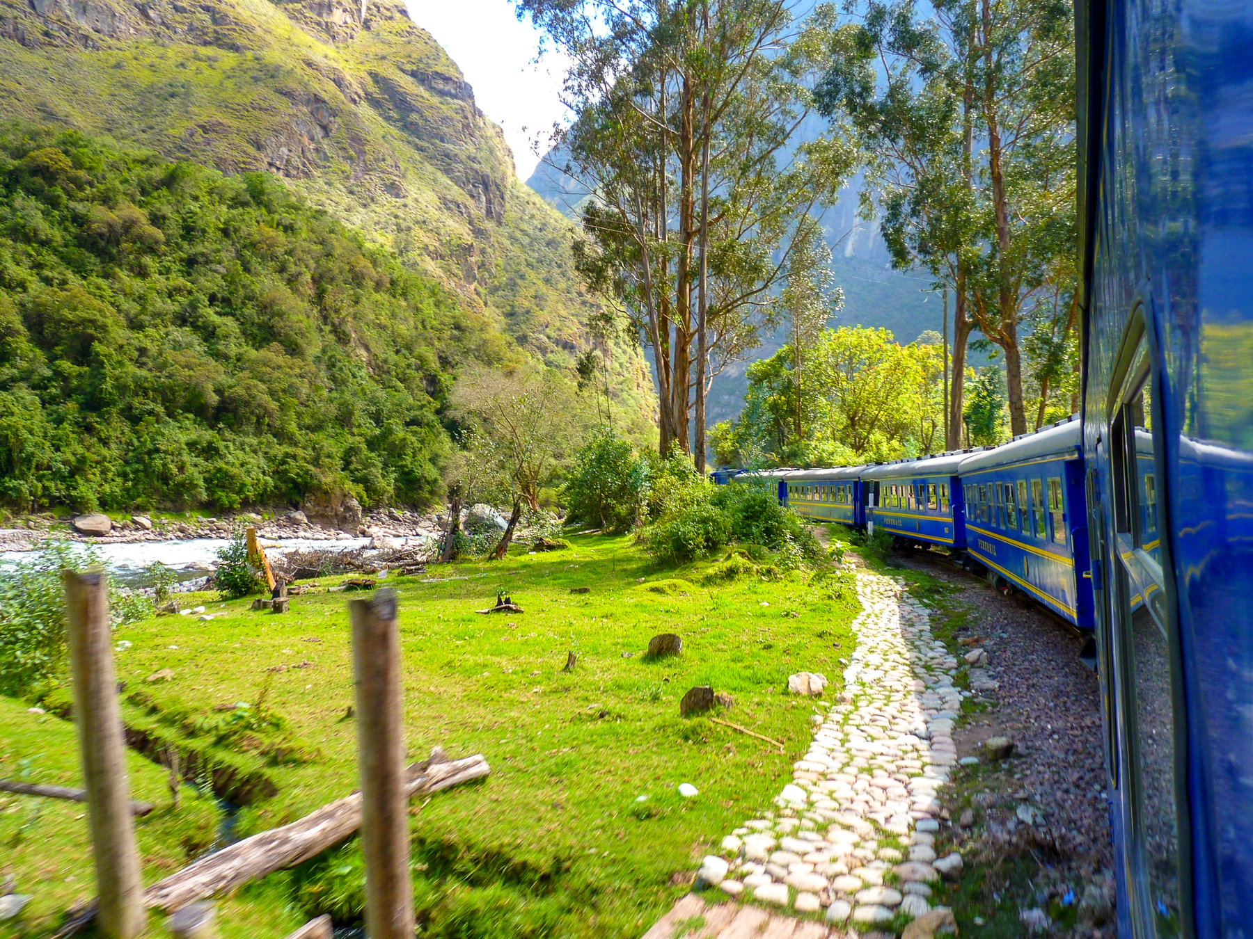 A train in the Andes near Machu Picchu