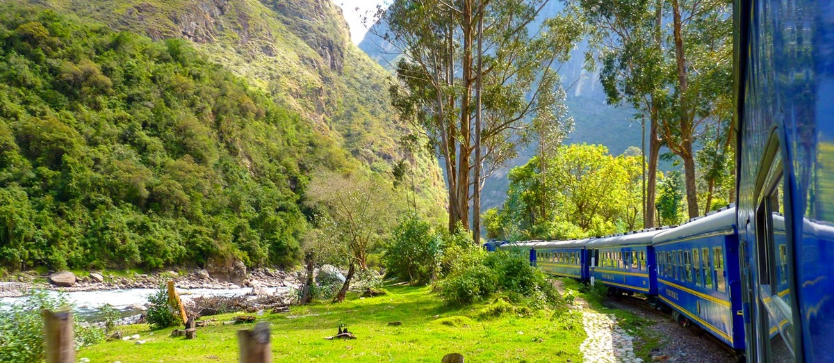 A train in the Andes near Machu Picchu