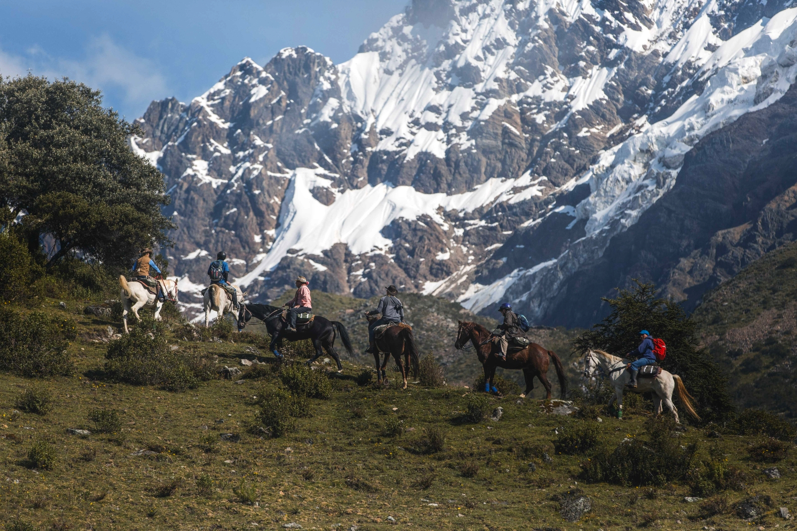Riders and horses in line in the snow-capped mountains