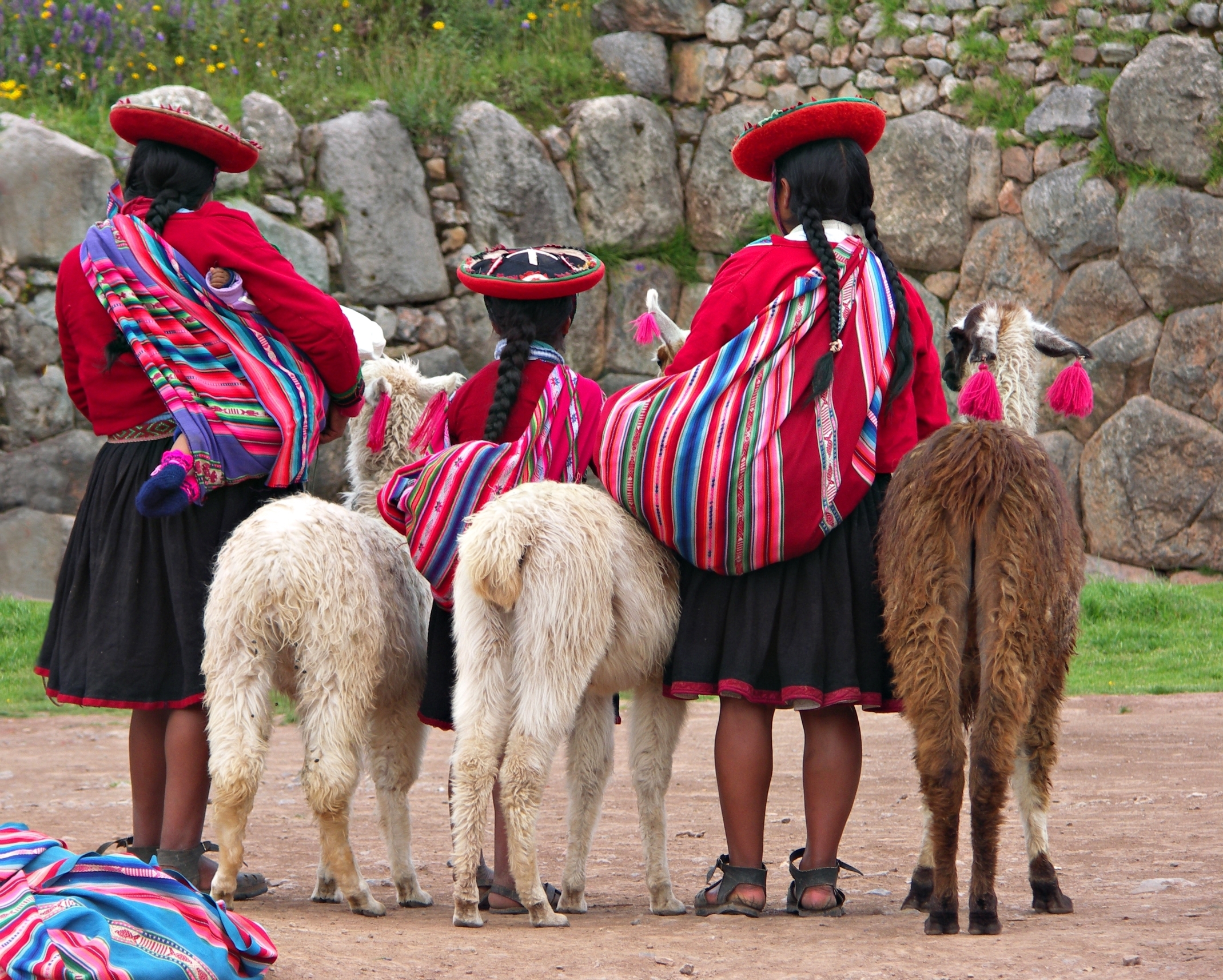 Girls with alpacas in Peru