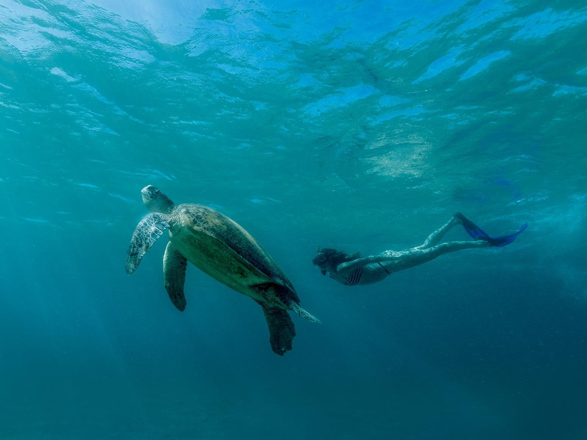 Snorkelling with a turtle at Amanpulo luxury beach resort in the Philippines