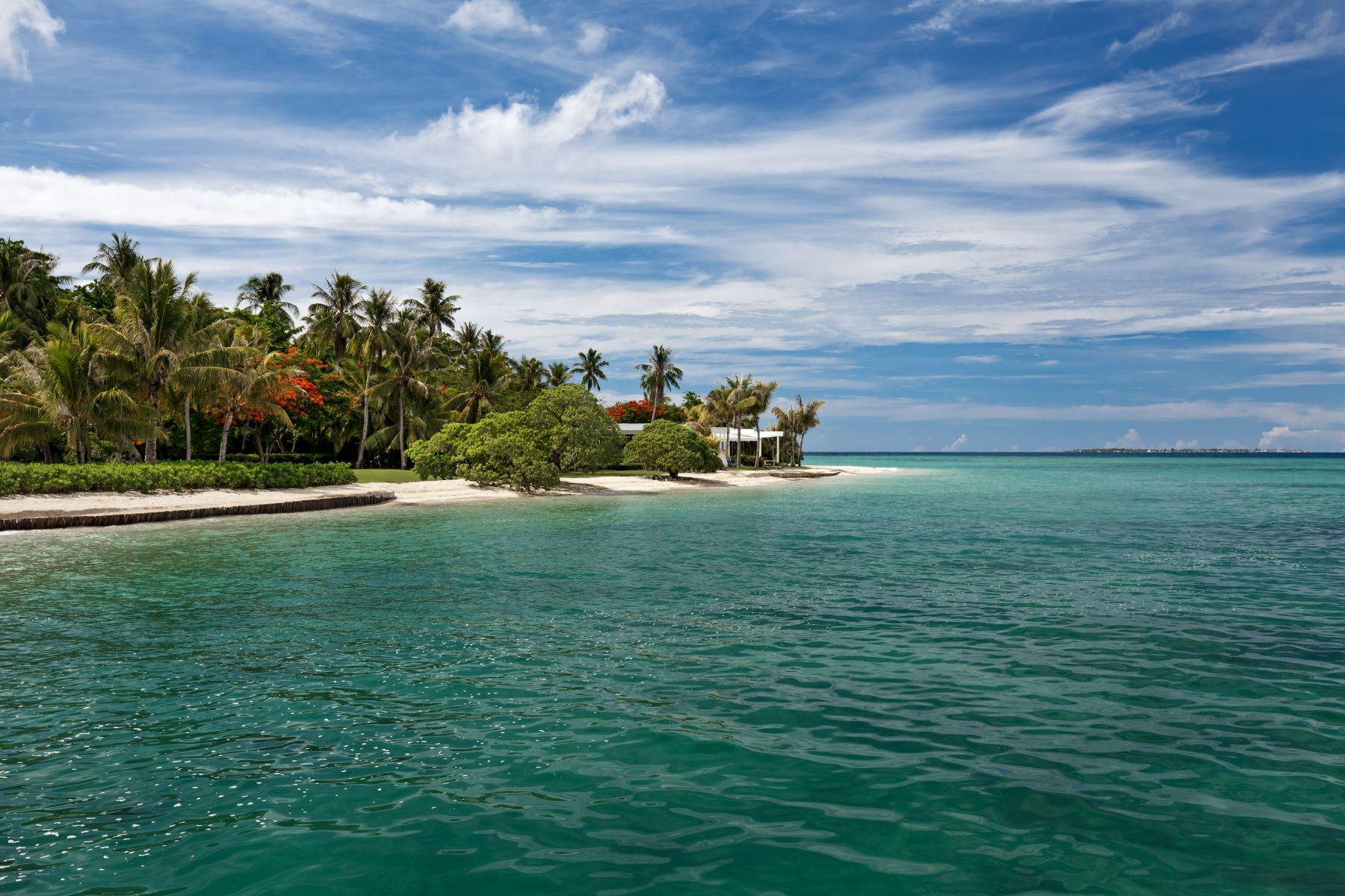 Turquoise sea and palm fringed beach at Banwa Private Island Philippines