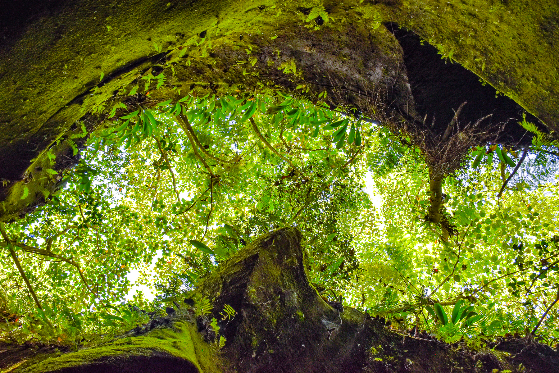 View from inside the Inararo Gorge in the Philippines