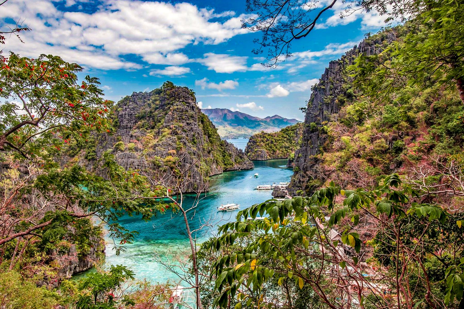 Boats moored in Palawan Bay in the Philippines