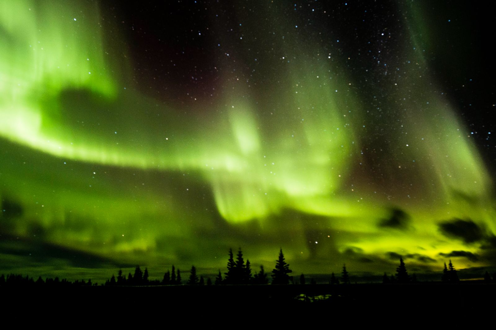 Aurora Borealis over the Canadian wilderness