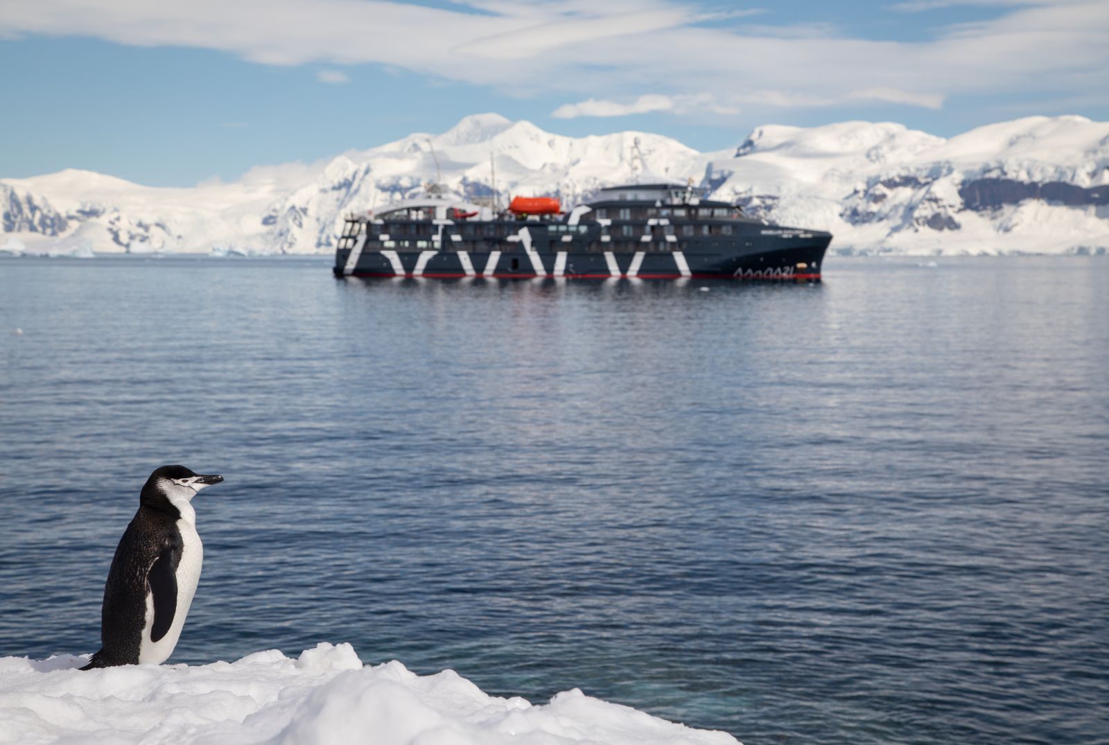 Penguin and distant view of the Magellan Explorer in Antarctica