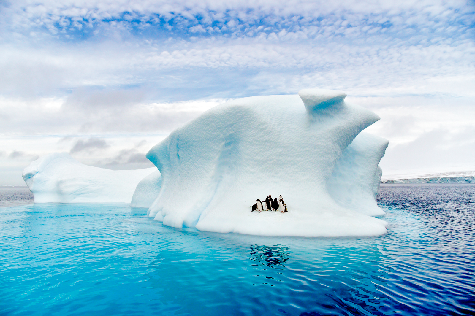 Penguins on an iceberg in Antarctica spotted from Ponant's Le Lyrial cruise ship
