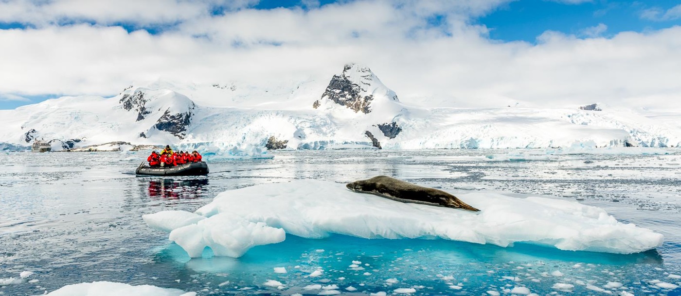 A zodiac safari from Ponant's Le Lyrial viewing a seal in Antarctica