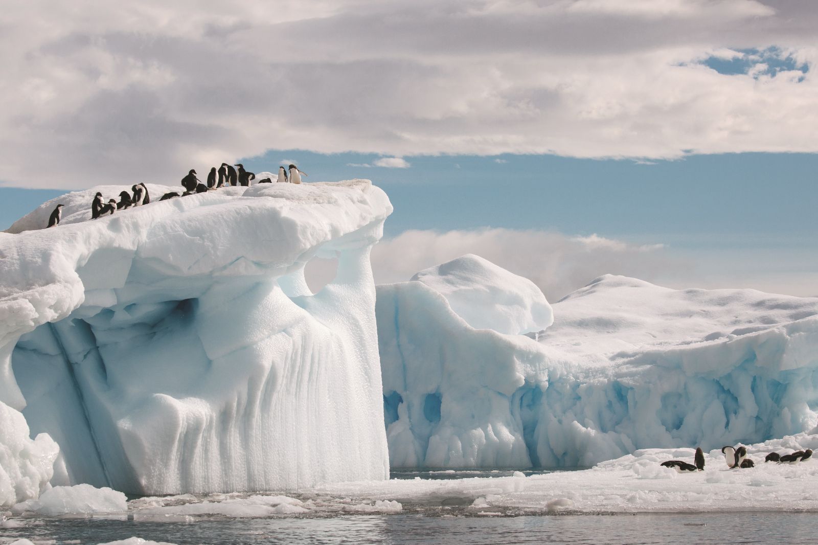Penguins diving from an ice berg seen from the Silver Endeavour in Antarctica