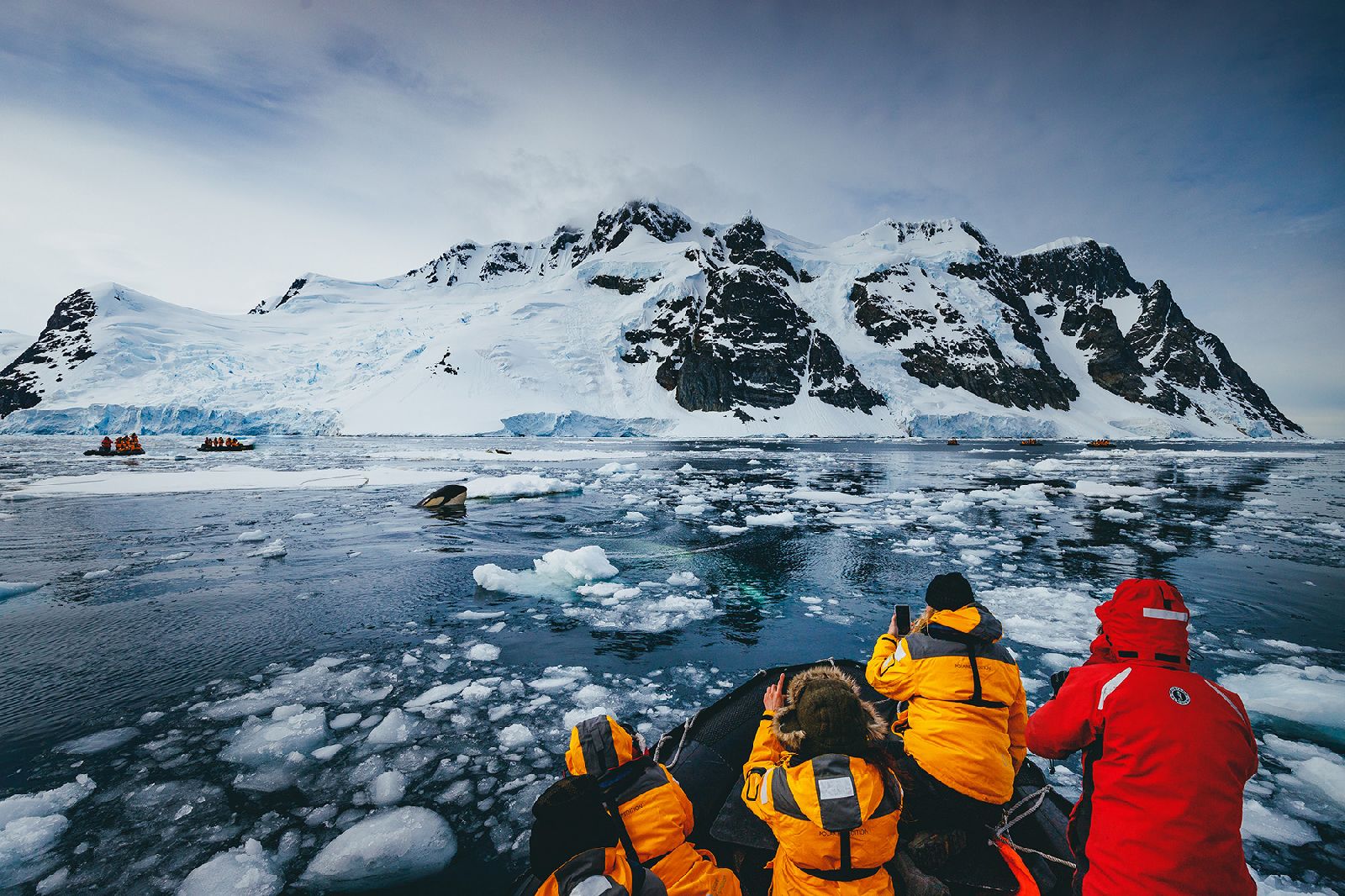 Guests of the Ultramarine cruise ship in Antarctica spotting an orca