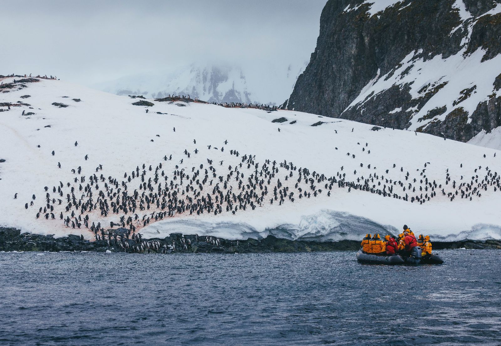 Guests of the Ultramarine approaching a vast penguin colony in Antarctica