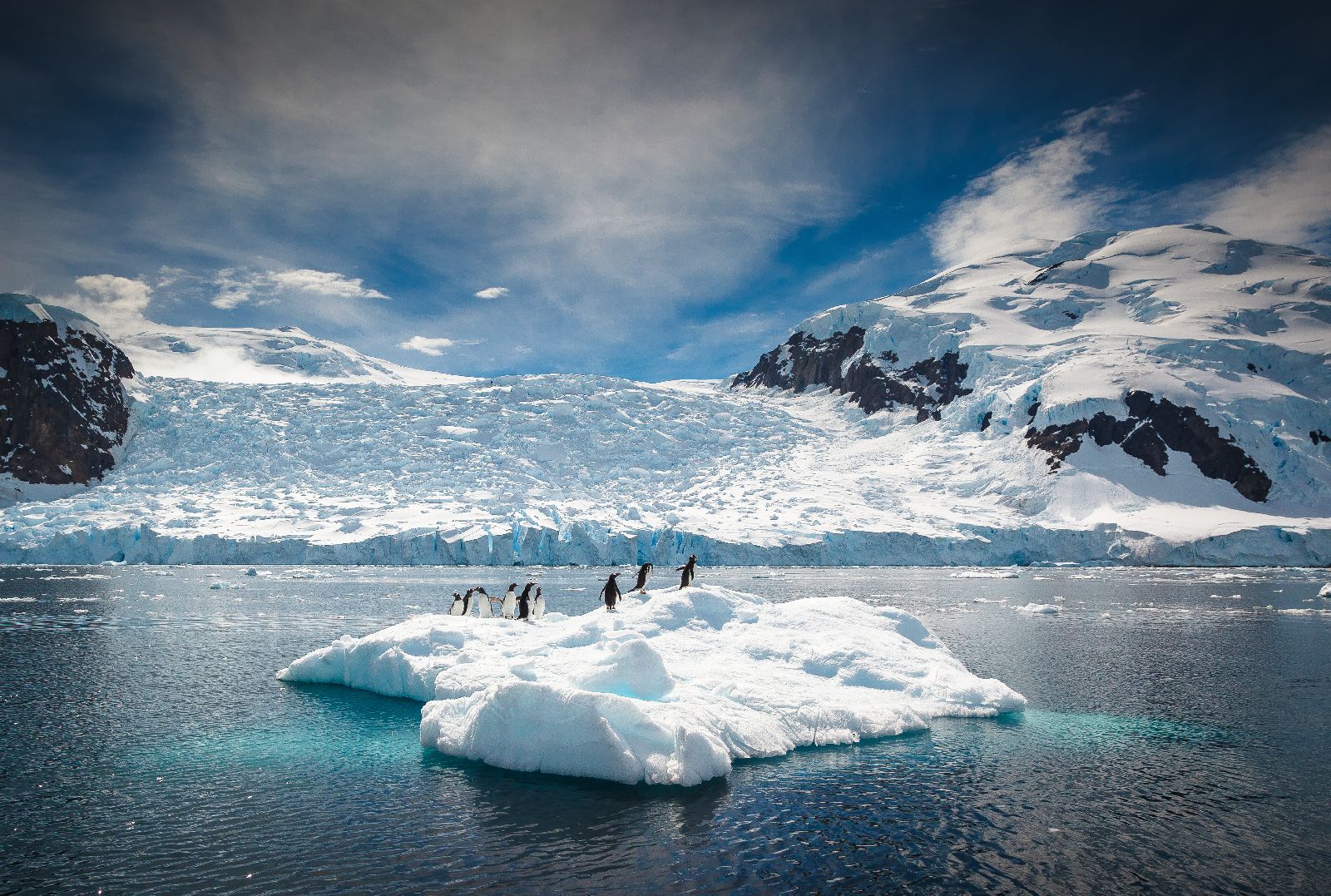 Penguins on an icerberg seen from the Ultramarine cruise ship in Antarctica