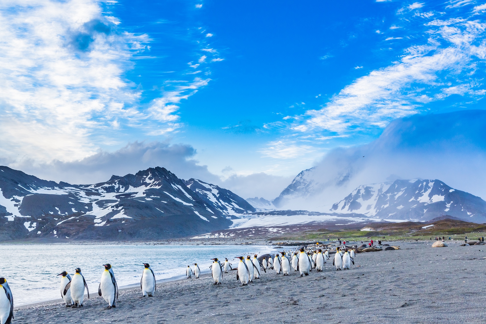 Penguins on a beach in the Antarctic