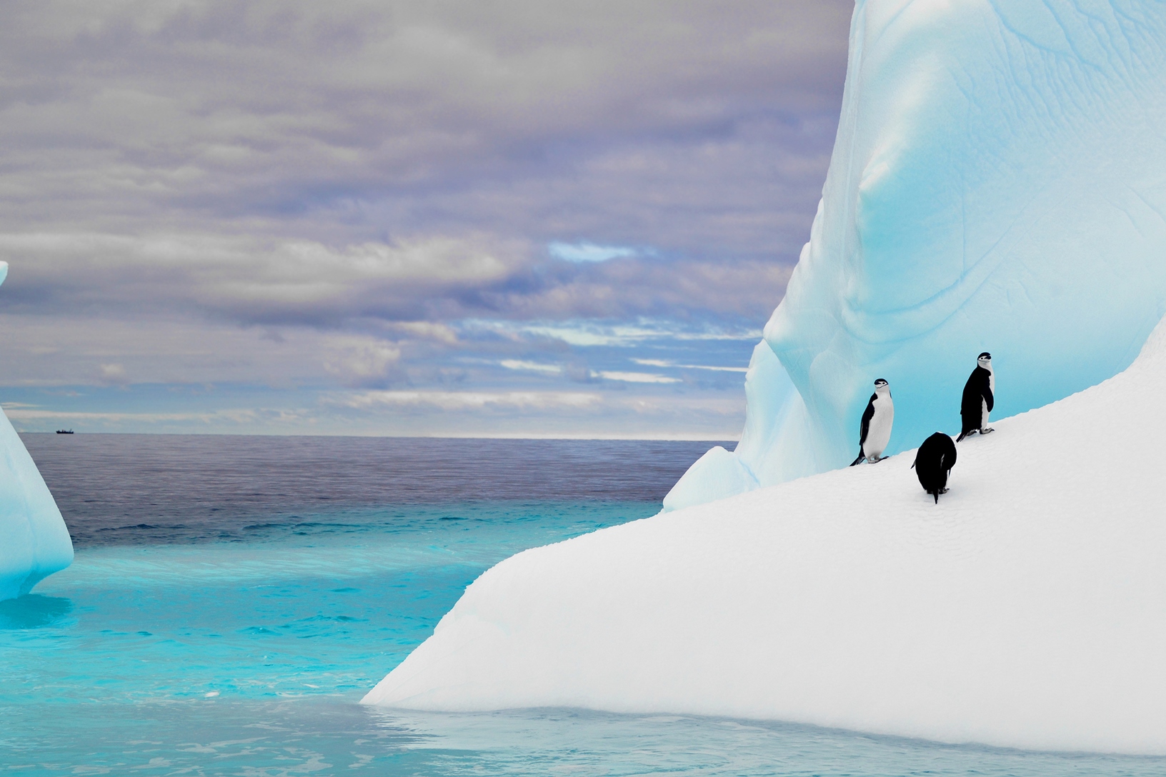Penguins on a glacier in the Antarctic