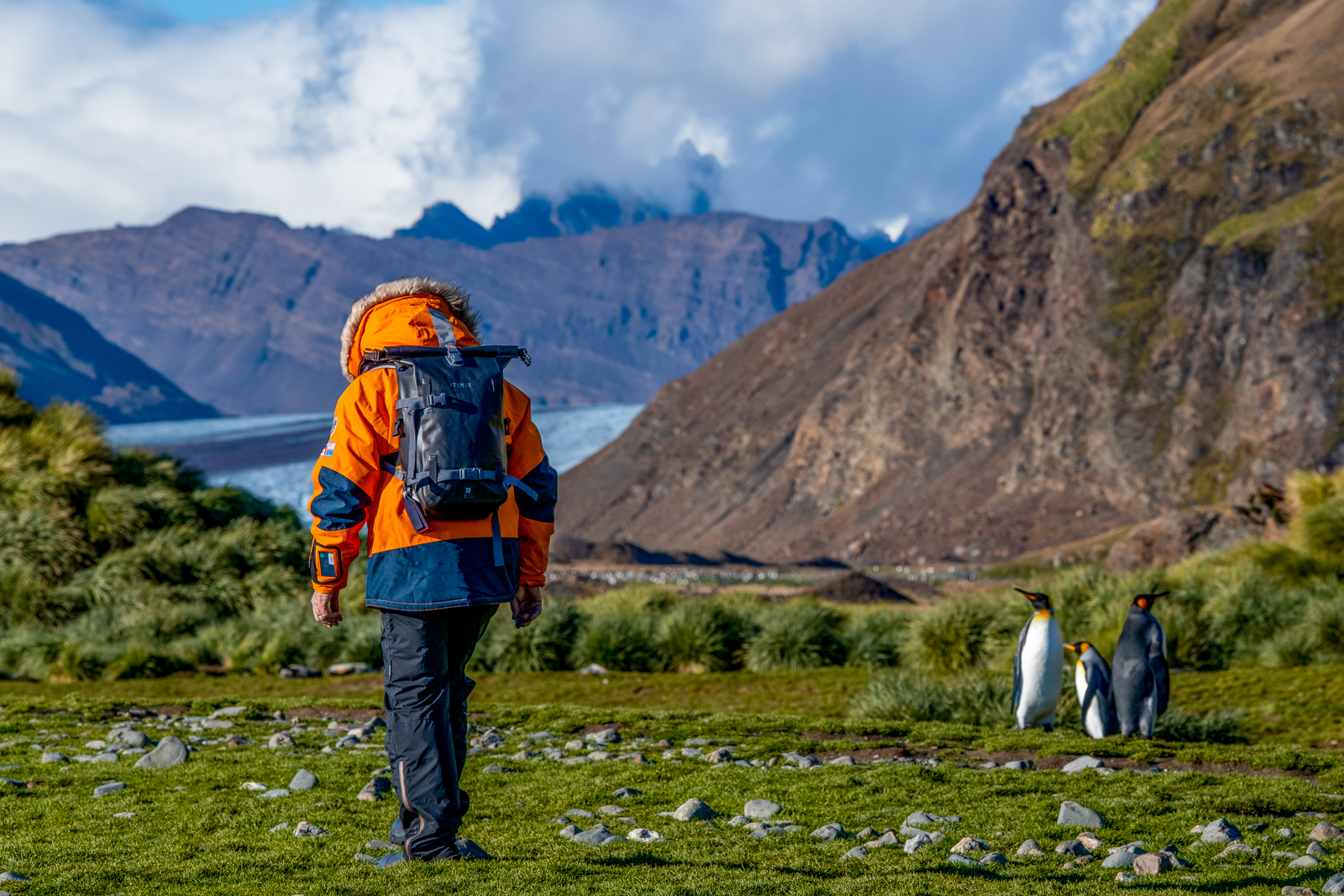 A man trekking by the Weddell Sea in South Georgia