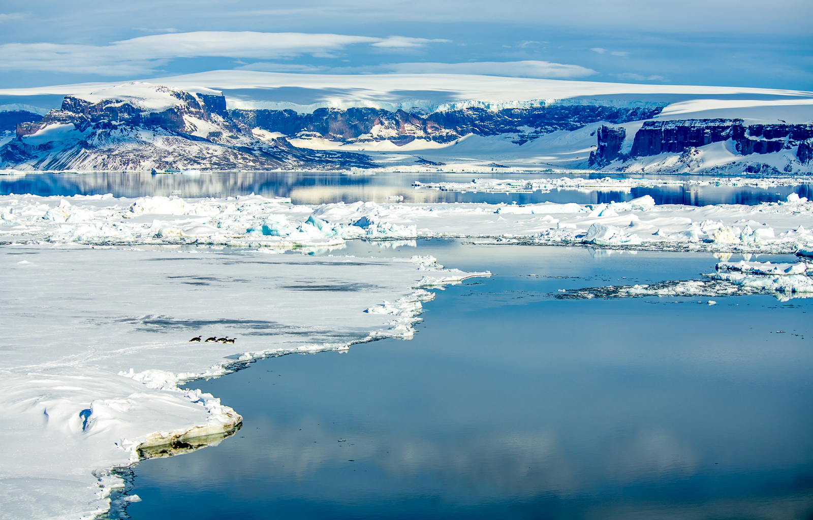 An aerial view of the Weddell Sea in Antarctica