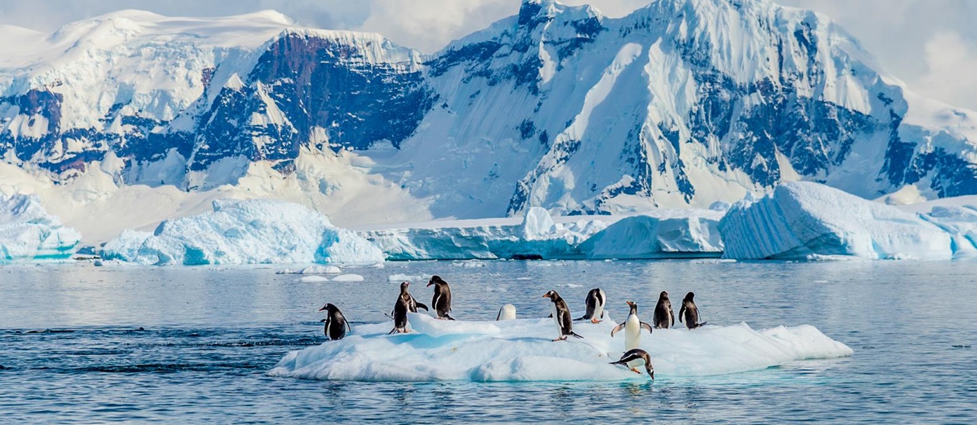 Penguins spotted in the Weddell Sea from Ponant's Le Commandant Charcot luxury Antarctic cruiser