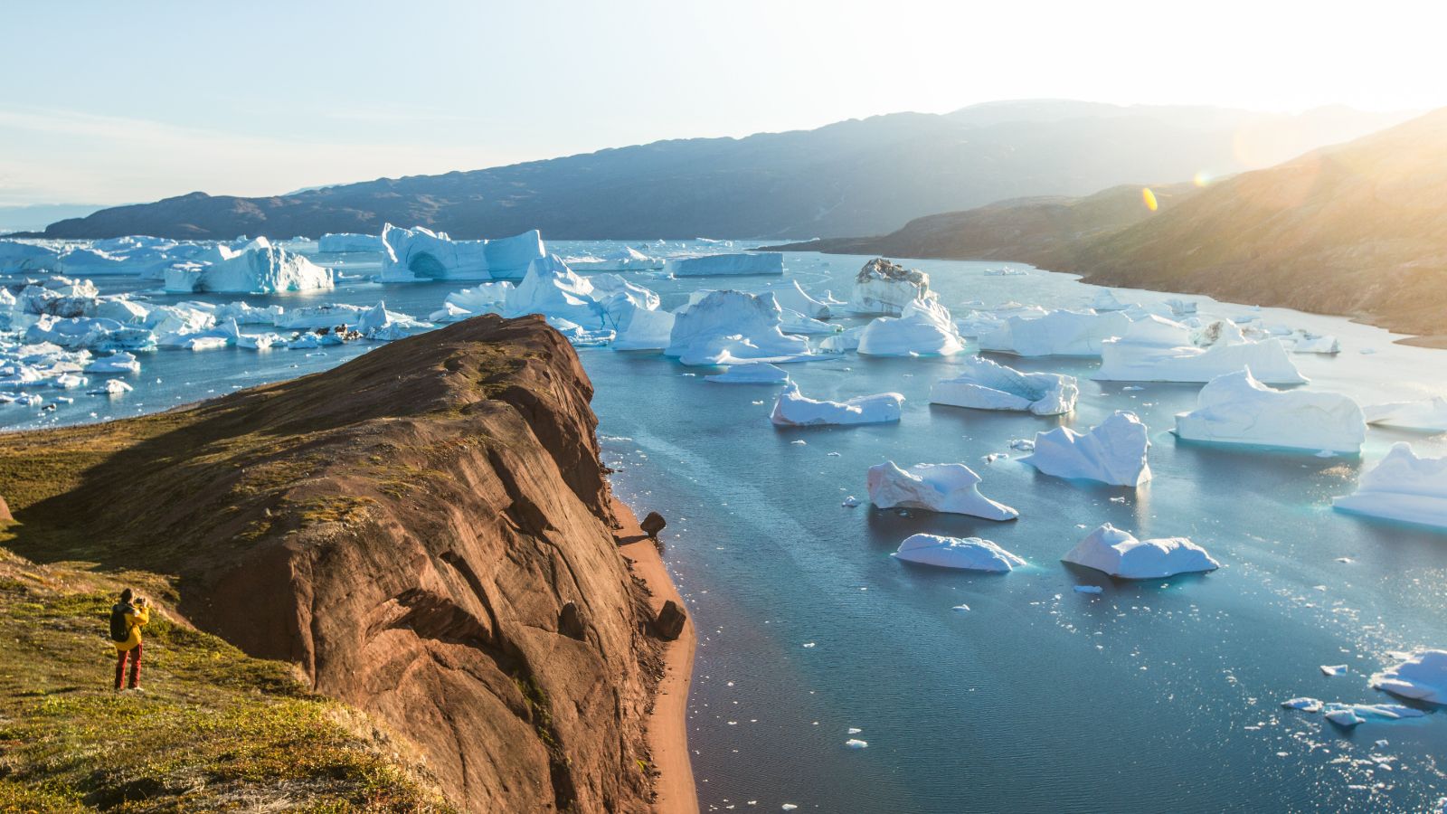 Floating blue icebergs in an Arctic fjord