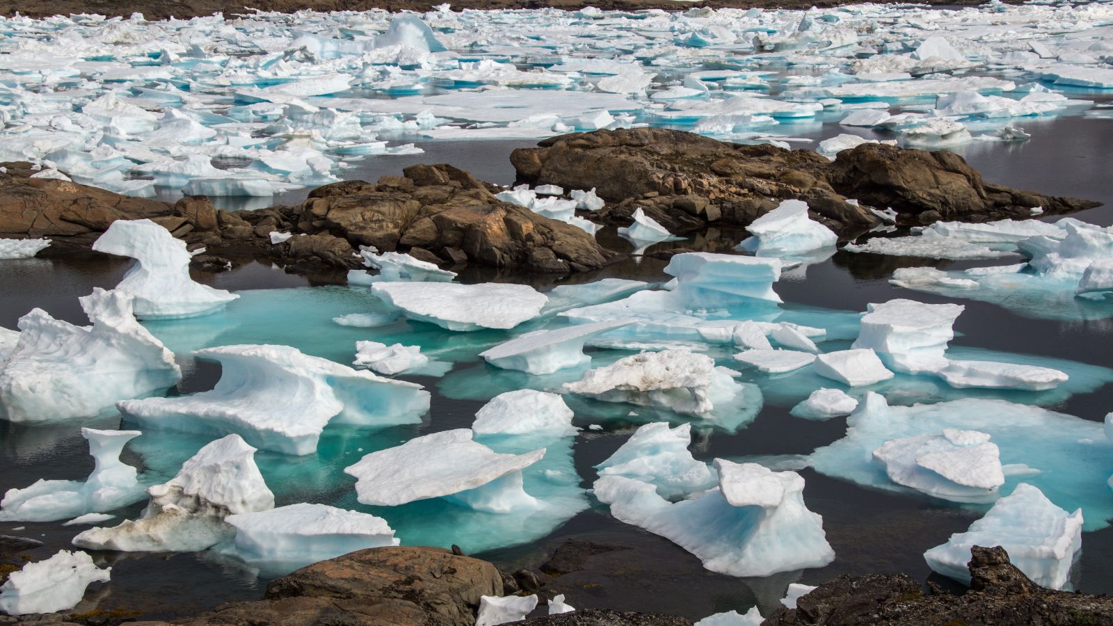 Countless pieces of white and blue floating ice on the shores of Greenland