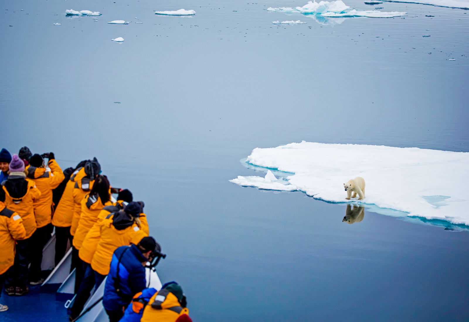Guests onboard Quark's Ultramarine taking photographs of a polar bear in Svalbard