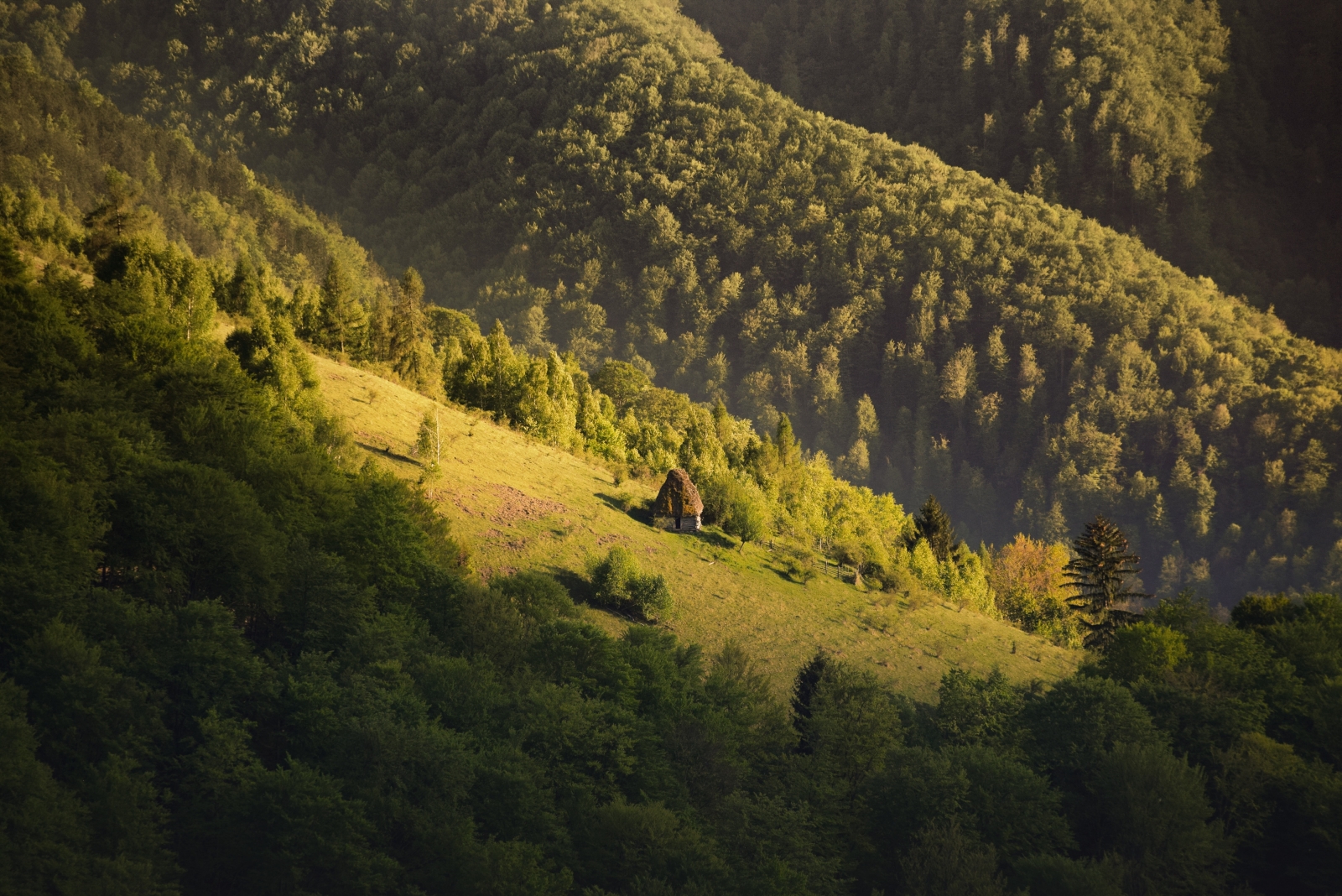 Rolling hills with small wooden shack in Maramures in Romania
