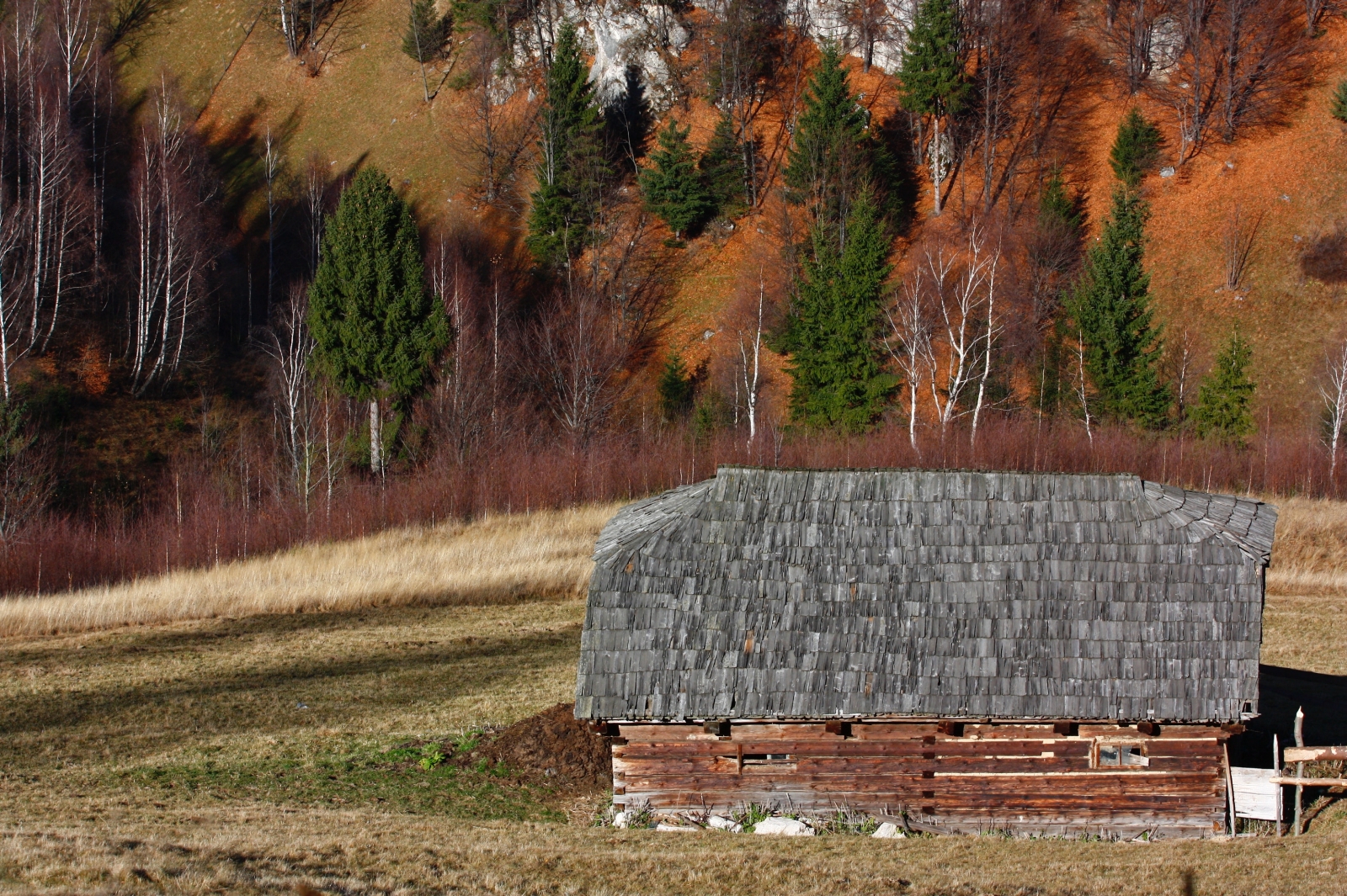 Wooden house in autumnOpen field with small wooden building in Maramures in Romania