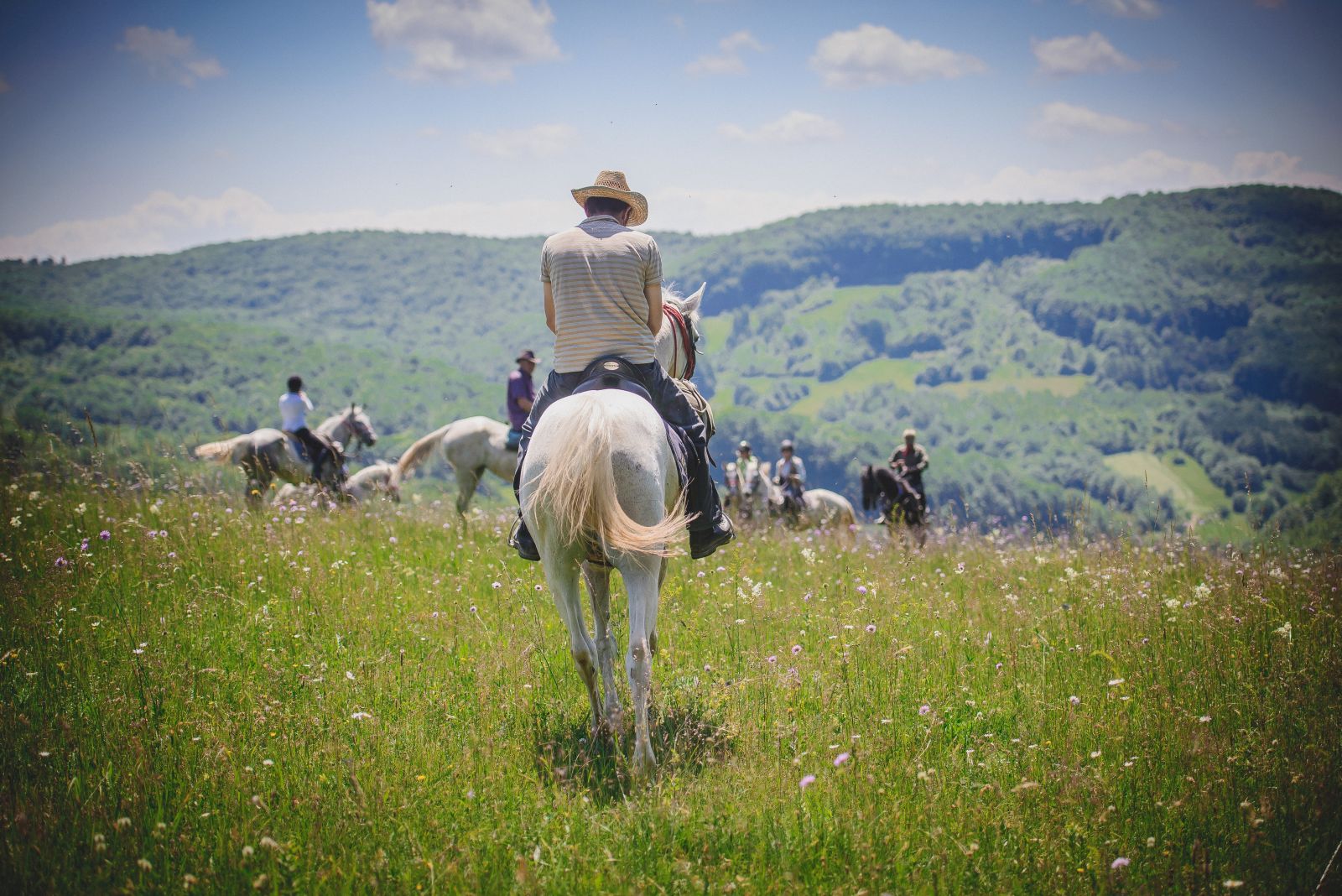 Rider in the meadows on the Transylvania Riding Adventure in Romania