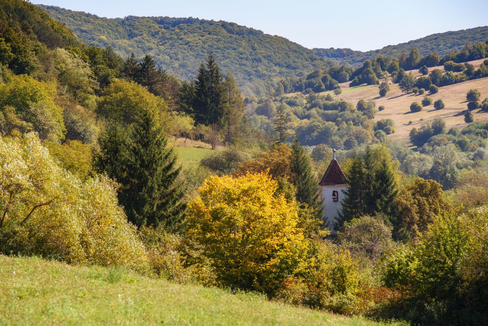 Church spire with backdrop of trees and hills in Transylvanian valley, Romania