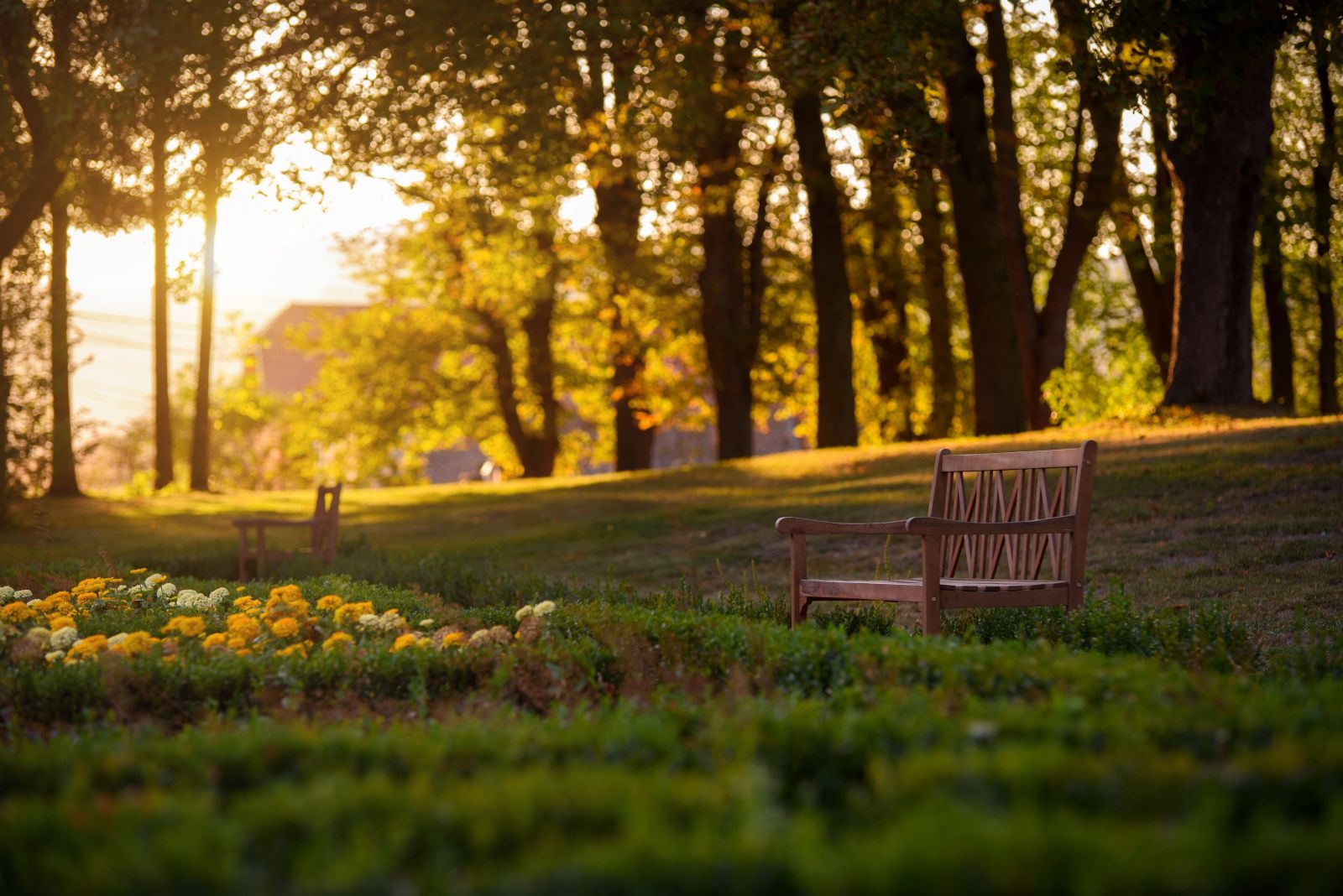 The gardens of Kalnoky Castle Park in evening light, Transylvania, Romania