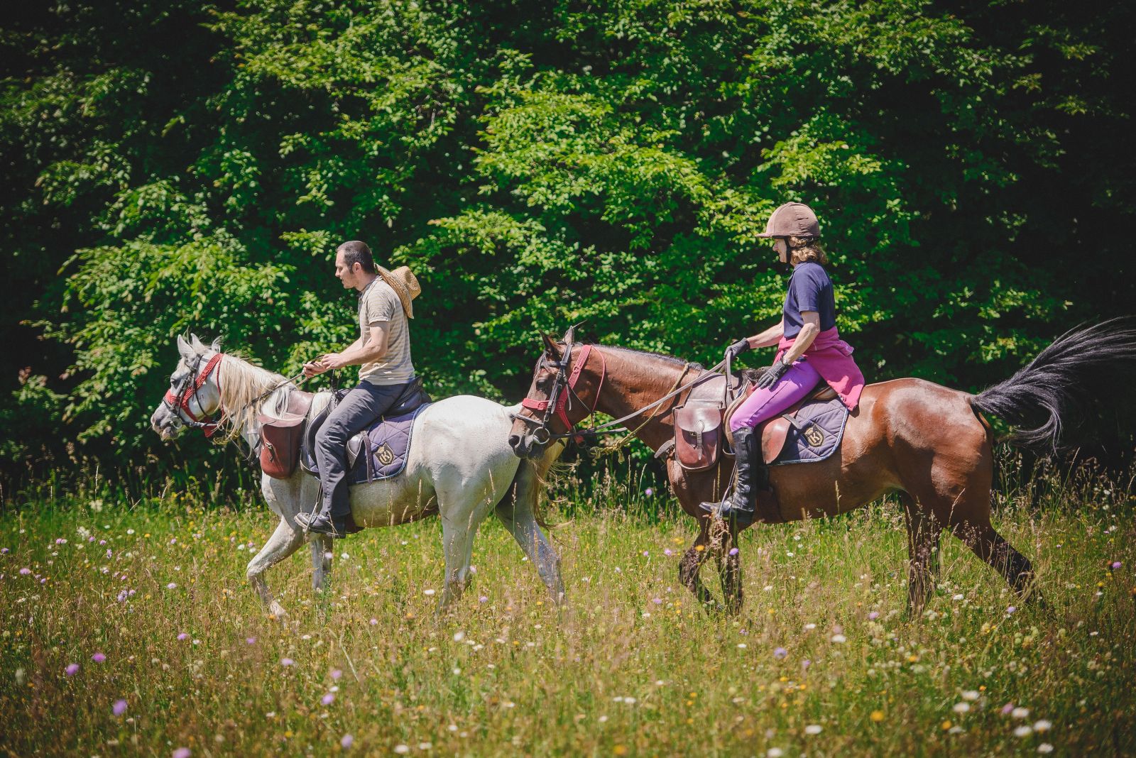 Horse riders cantering through meadows on Translyvania Riding Adventure, Romania