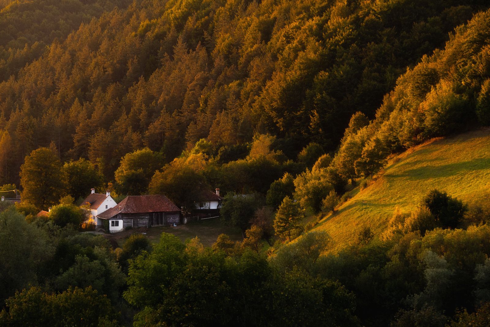 Remote farmhouse in a forested valley in Transylvania, Romania