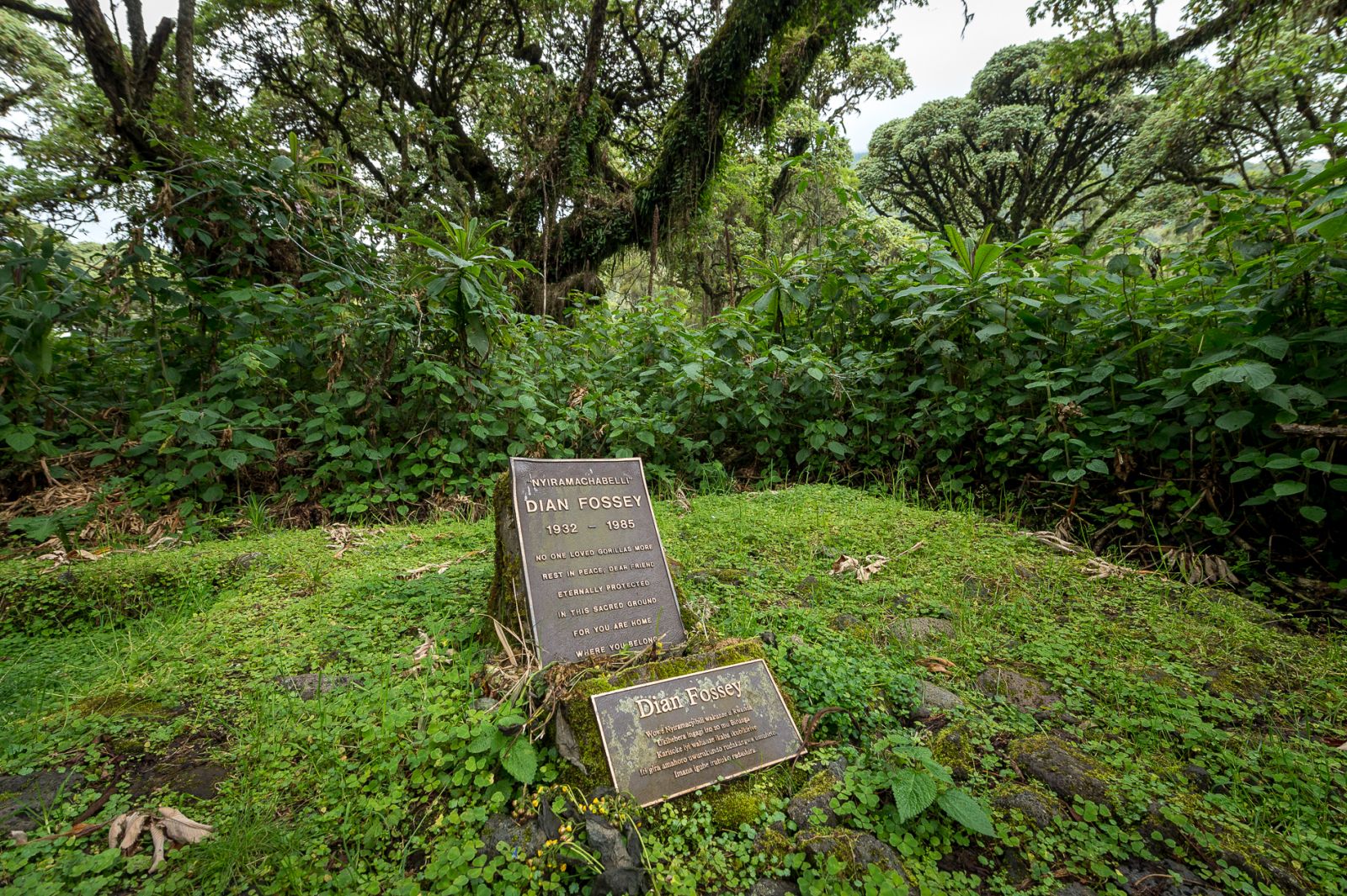 The headstone at Dian Fossey’s grave site in Rwanda