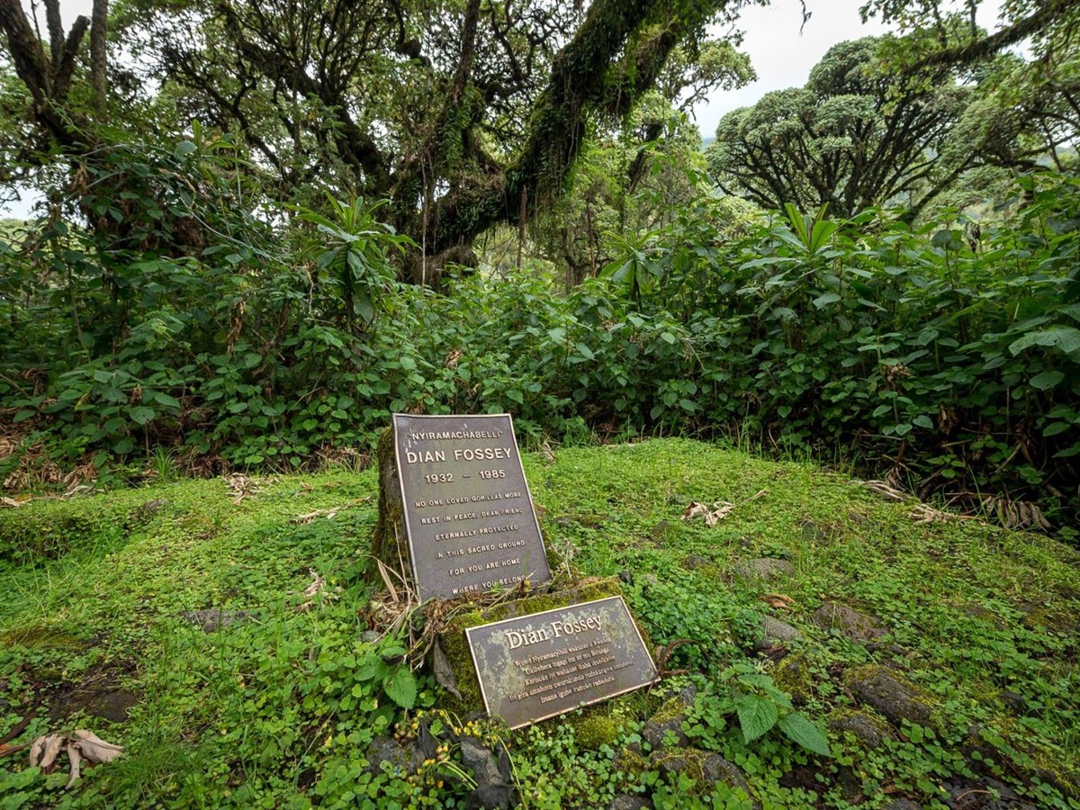 The headstone at Dian Fossey’s grave site in Rwanda